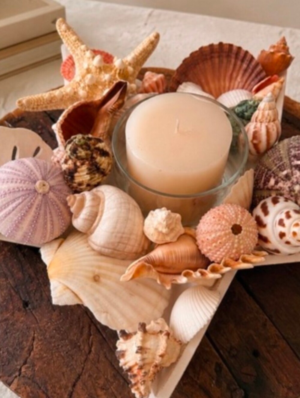 Coastal Seashell Candle Centerpiece in White Star